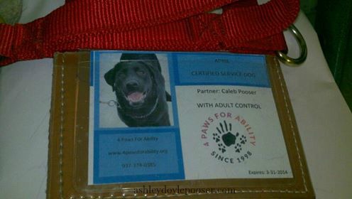 543530_10151537891649697_332825084_n