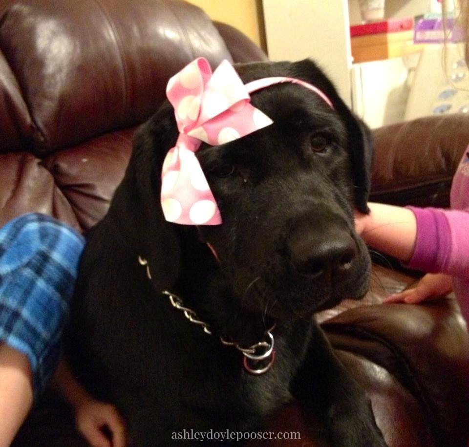 970562_533553343368238_319090124_n