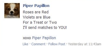 Screen Shot 2016-04-04 at 12.12.04 PM