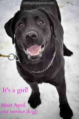 Screen Shot 2016-04-04 at 12.12.48 PM