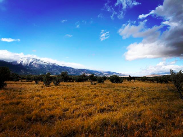 Screen Shot 2020-06-10 at 10.22.59 PM